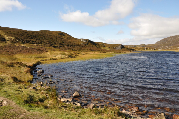 Scaled image dsc_0565.jpg 