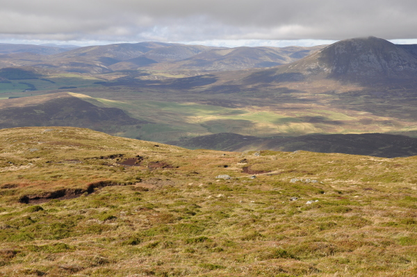 Scaled image dsc_0585.jpg 