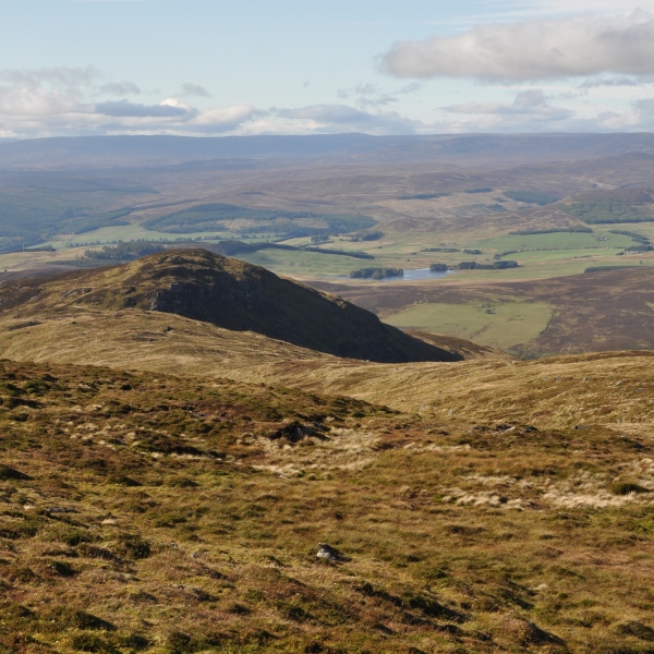 Scaled image dsc_0593m.jpg 