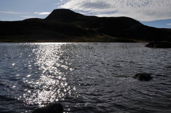 Scaled image dsc_0616.jpg 