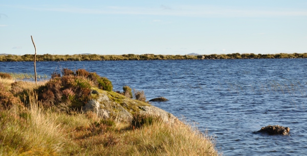 Scaled image dsc_0623m.jpg 