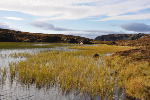 Scaled image dsc_0625.jpg 