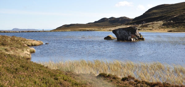 Scaled image dsc_0627mm.jpg 