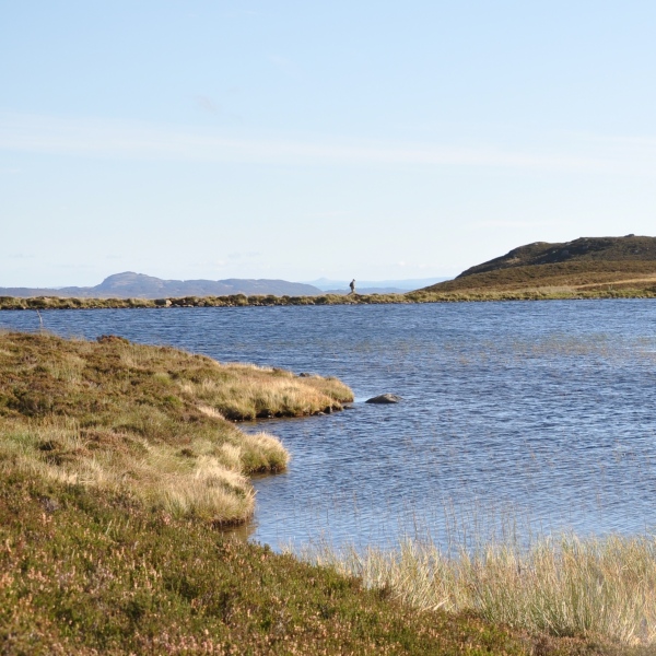 Scaled image dsc_0627mmm.jpg 