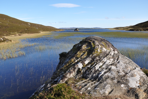 Scaled image dsc_0631.jpg 