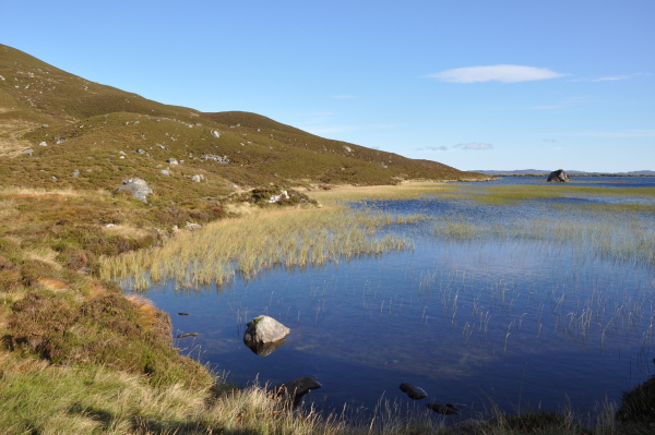 Scaled image dsc_0635.jpg 