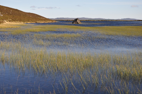 Scaled image dsc_0650.jpg 