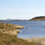 Thumbnail dsc_0627mmm.jpg 