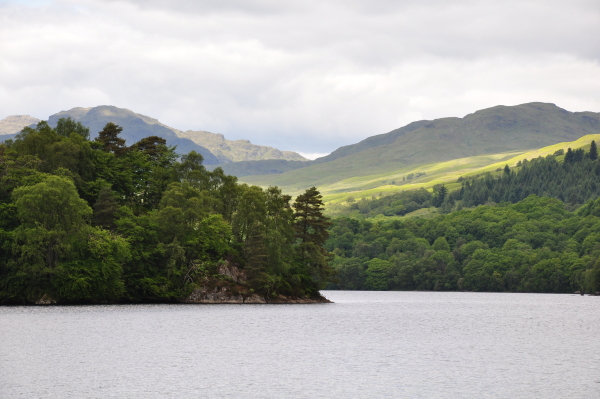 Scaled image 3_DSC_0605.JPG 