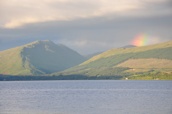 Scaled image 3_DSC_0638.JPG 