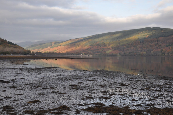 Scaled image 6_dsc_0716.jpg 