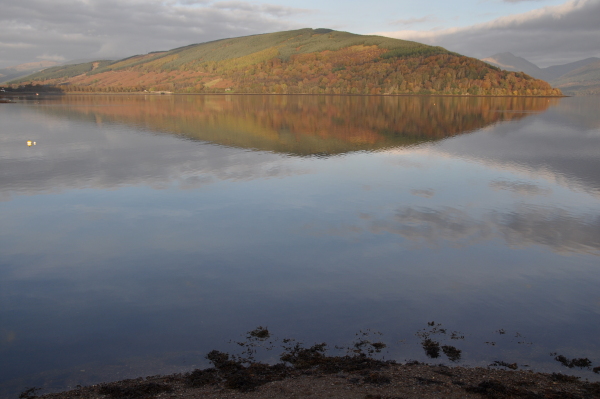 Scaled image 6_dsc_0747.jpg 