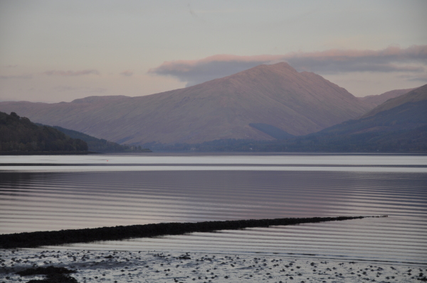 Scaled image 6_dsc_0766.jpg 