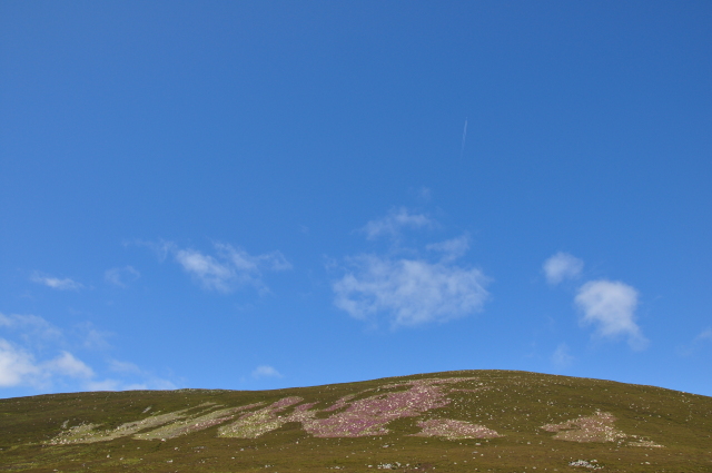 Diapositive 4_DSC_0742.JPG 