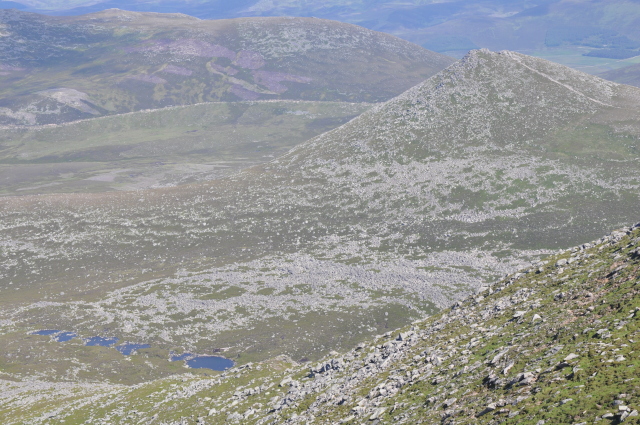 Diapositive 4_DSC_0803.JPG 