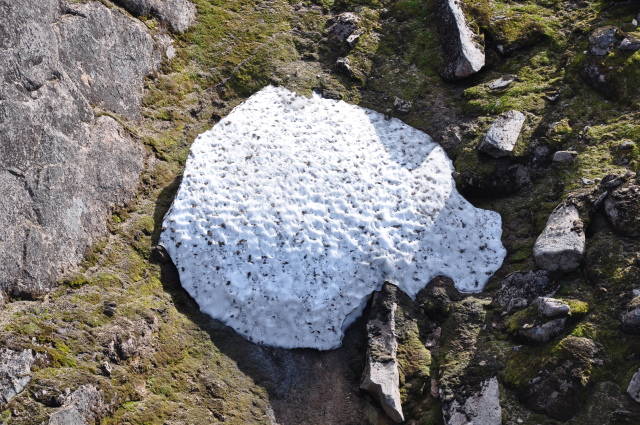 Diapositive 4_DSC_0841.JPG 