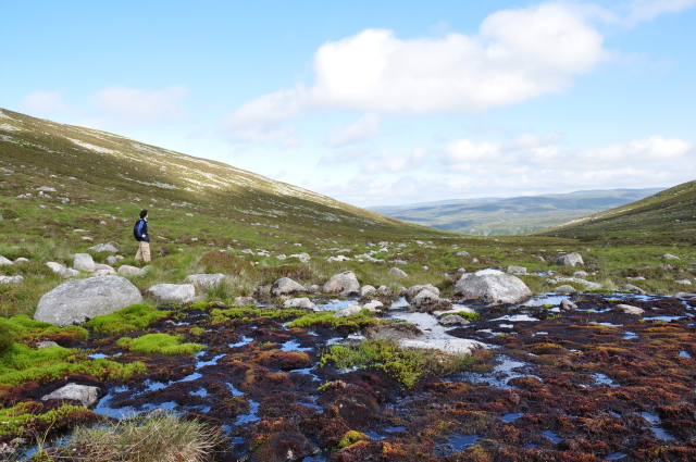 Diapositive 4_DSC_0846.JPG 