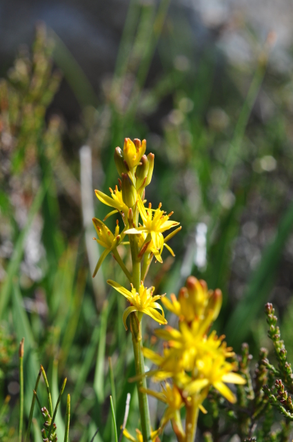 Diapositive 4_DSC_0852.JPG 