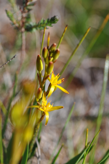 Diapositive 4_DSC_0853.JPG 