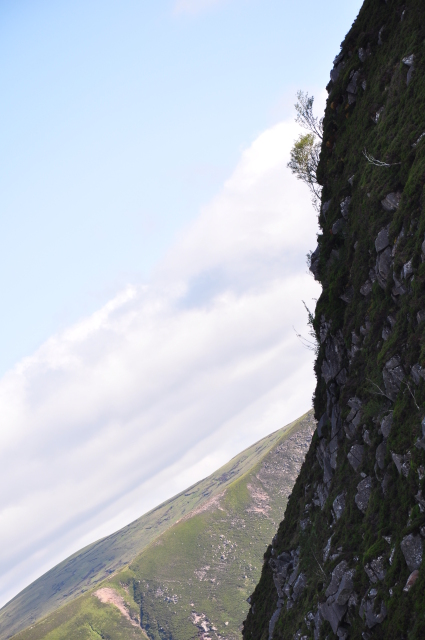 Diapositive 4_DSC_0882.JPG 