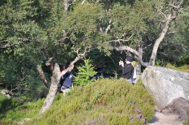 Diapositive 4_DSC_0916.JPG 