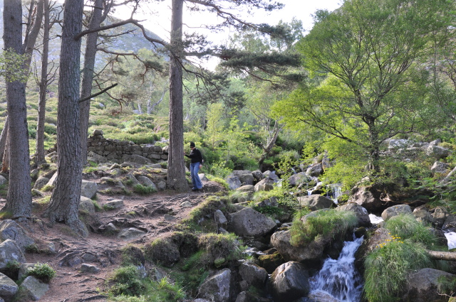 Diapositive 4_DSC_0917.JPG 