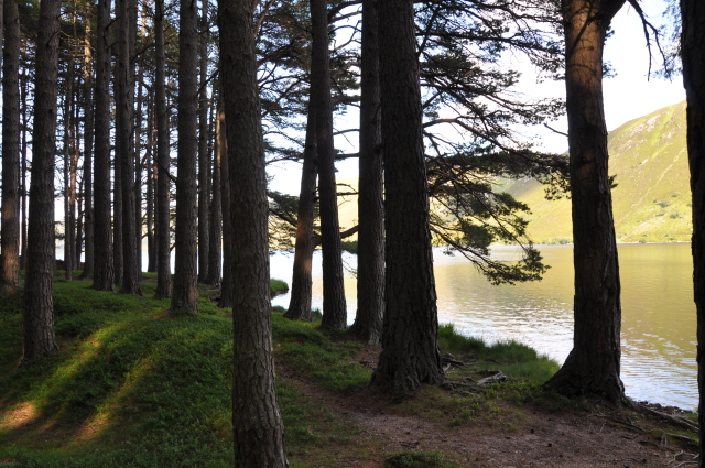 Diapositive 4_DSC_0918.JPG 