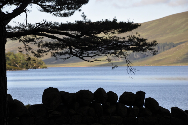 Diapositive 4_DSC_0925.JPG 