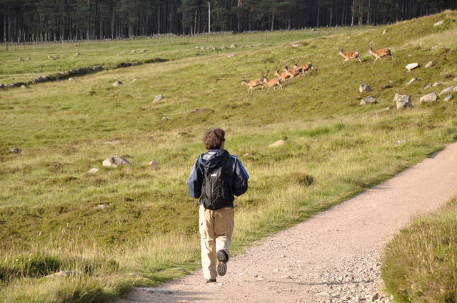 Diapositive 4_DSC_0953.JPG 