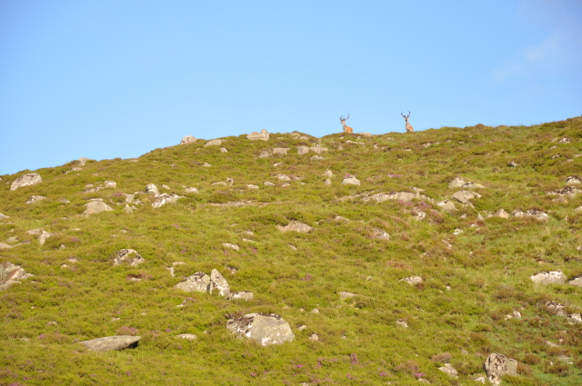 Diapositive 4_DSC_0959.JPG 