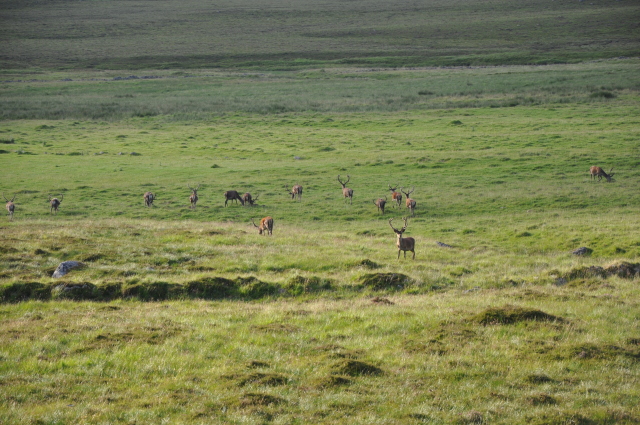 Diapositive 4_DSC_0960.JPG 