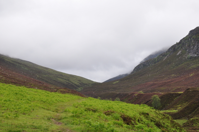 Diapositive 3_DSC_1024.JPG 