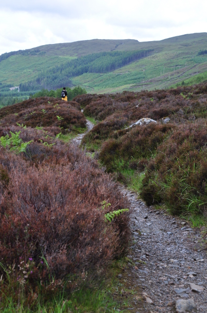 Diapositive 3_DSC_1033.JPG 