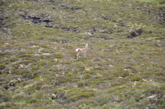 Diapositive 3_DSC_1189.JPG 