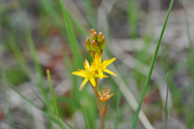 Diapositive 3_DSC_1212.JPG 