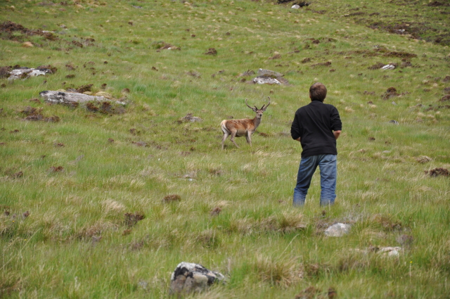 Diapositive 3_DSC_1454.JPG 