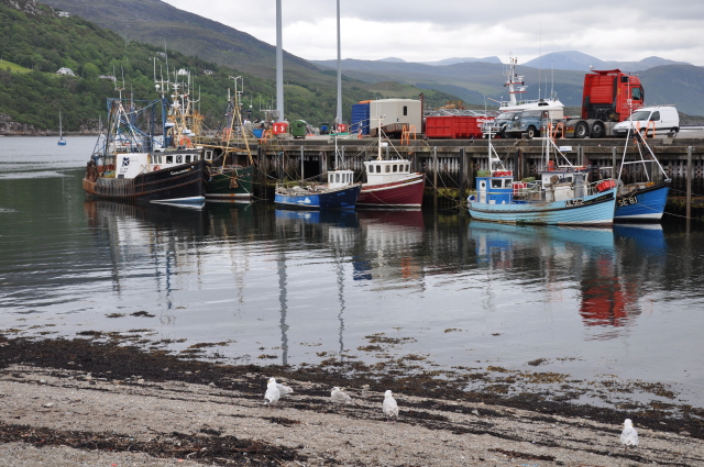 Diapositive 3_DSC_1485.JPG 