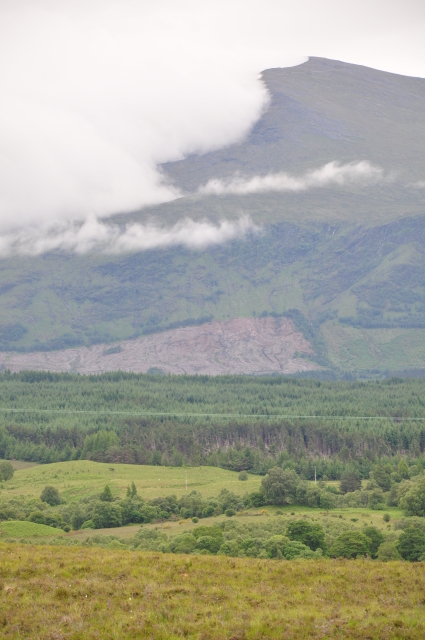 Diapositive 3_DSC_1494.JPG 