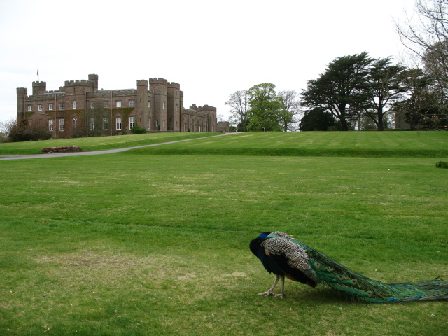 Diapositive img_0745.jpg 