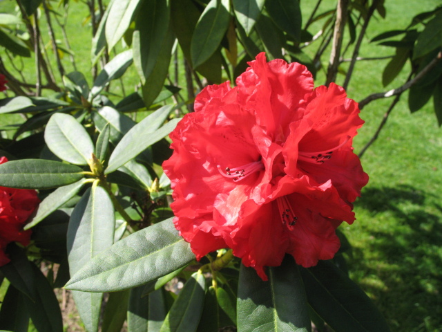 Diapositive img_0783.jpg 