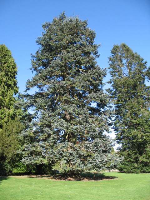 Diapositive img_0810.jpg 