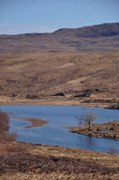 Scaled image dsc_0022.jpg 