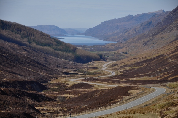 Scaled image dsc_0025.jpg 