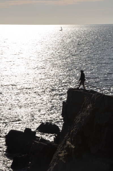 Scaled image dsc_0040.jpg 