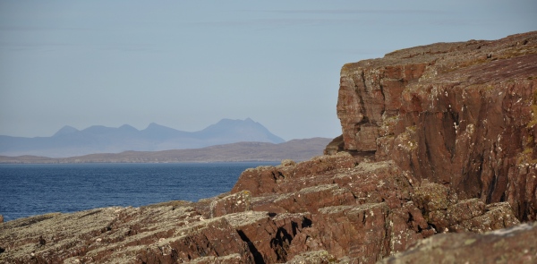 Scaled image dsc_0133.jpg 