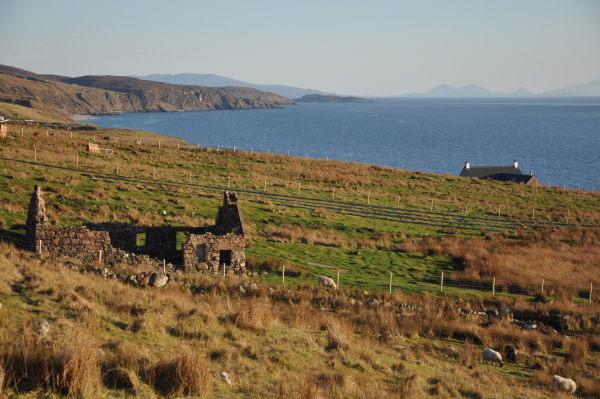 Scaled image dsc_0174.jpg 