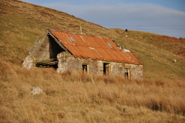 Scaled image dsc_0184.jpg 