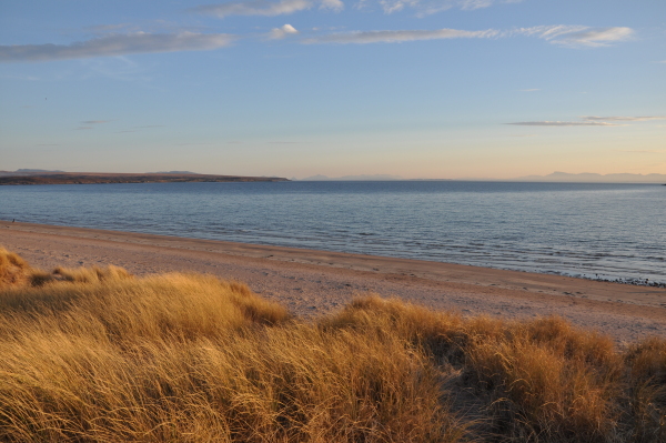 Scaled image dsc_0195.jpg 