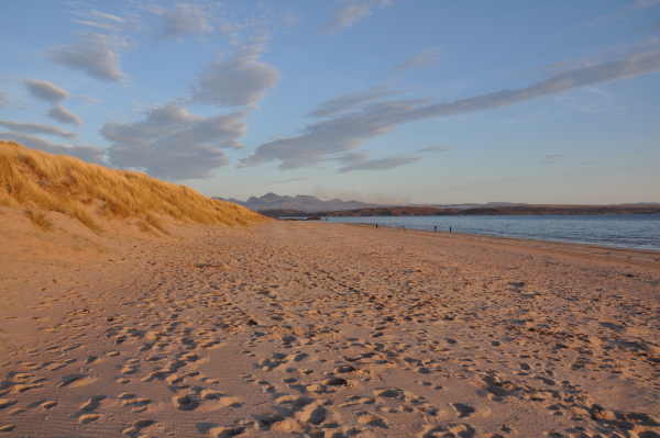 Scaled image dsc_0197.jpg 