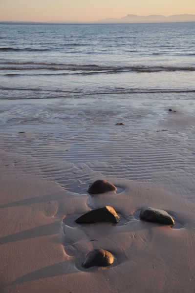 Scaled image dsc_0203.jpg 